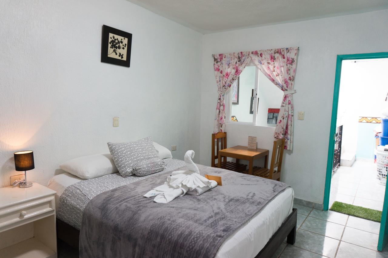 Paso Del Sol Mini-hôtel
