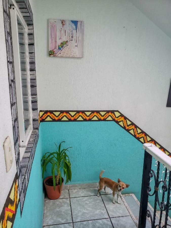 Paso Del Sol Isla Mujeres